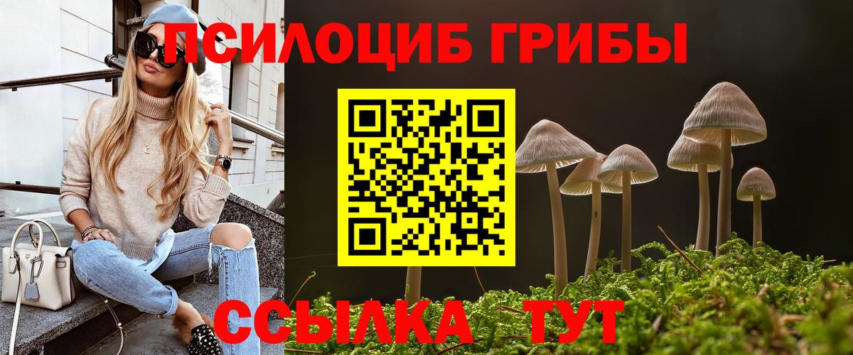 Горячий Ключ  Псилоцибиновые грибы Cubensis  Вход с VPN 